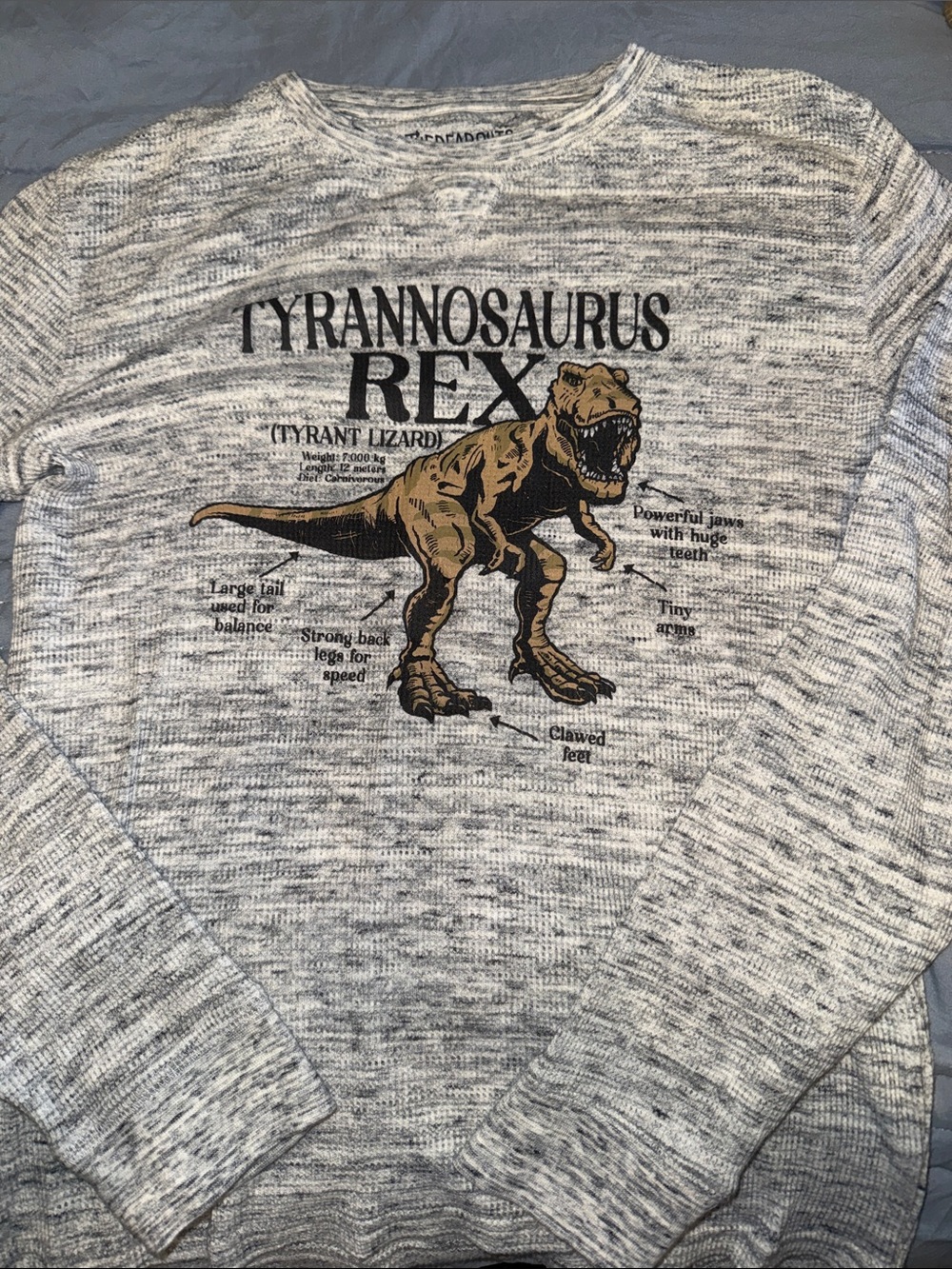 Tyrannosaurus Rex Graphic Long-Sleeve Tee - Gray